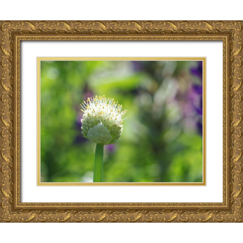 Pretty Onion Gold Ornate Wood Framed Art Print with Double Matting by Bonin, Suzanne