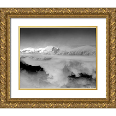 Night... Mare Gold Ornate Wood Framed Art Print with Double Matting by Barbey, Thomas