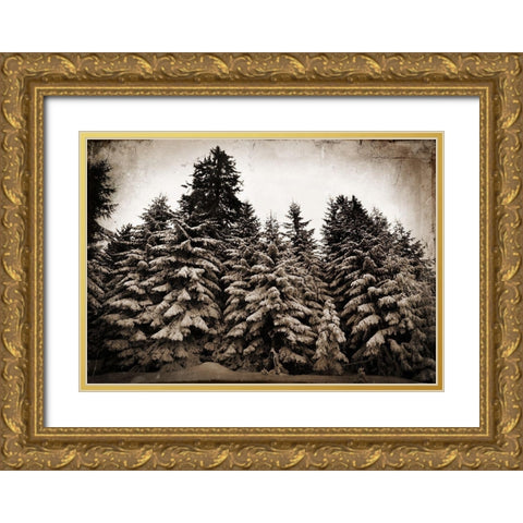 Old Growth Gold Ornate Wood Framed Art Print with Double Matting by Lavoie, Tina