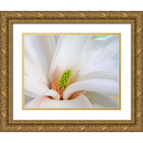 Magnoliaceae Gold Ornate Wood Framed Art Print with Double Matting by Lavoie, Tina