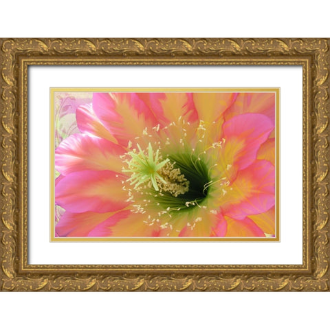 Paradisum II Gold Ornate Wood Framed Art Print with Double Matting by Lavoie, Tina