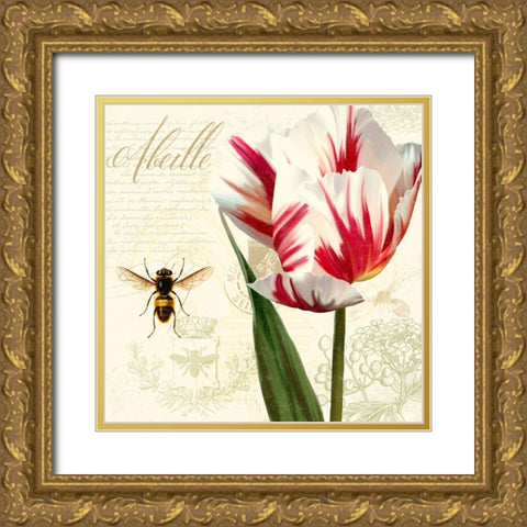 Natural History Sketchbook II Gold Ornate Wood Framed Art Print with Double Matting by Lavoie, Tina