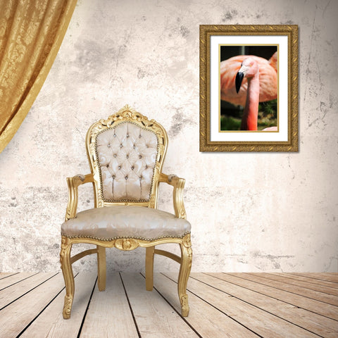 Pink Flamingo II Gold Ornate Wood Framed Art Print with Double Matting by Lavoie, Tina
