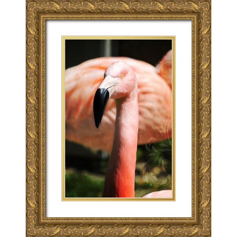 Pink Flamingo II Gold Ornate Wood Framed Art Print with Double Matting by Lavoie, Tina