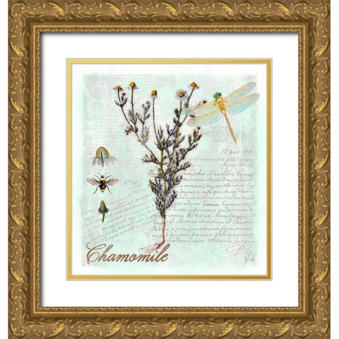Chamomile Herb Gold Ornate Wood Framed Art Print with Double Matting by Lavoie, Tina