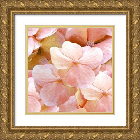 Innocence Pattern Gold Ornate Wood Framed Art Print with Double Matting by Lavoie, Tina