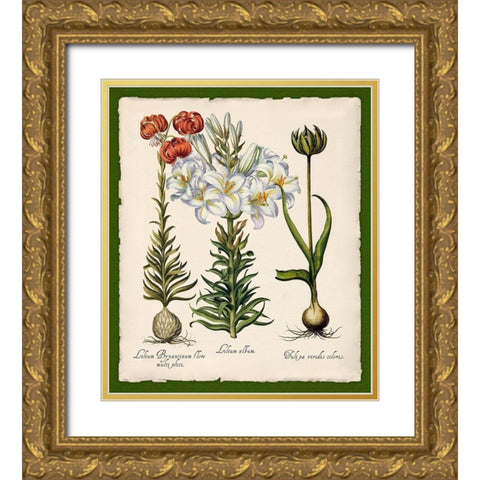 Botanica Nostalgia III Gold Ornate Wood Framed Art Print with Double Matting by Lavoie, Tina