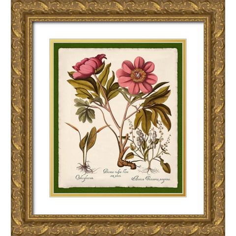Botanica Nostalgia IV Gold Ornate Wood Framed Art Print with Double Matting by Lavoie, Tina