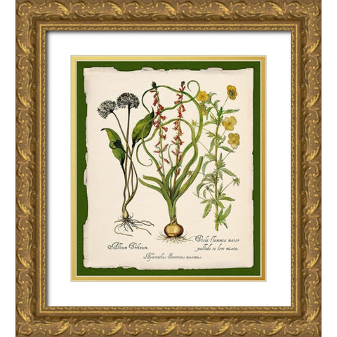 Botanica Nostalgia Gold Ornate Wood Framed Art Print with Double Matting by Lavoie, Tina
