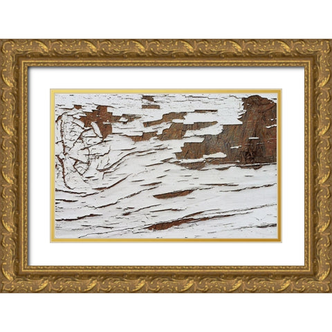 Whitewash 001 Gold Ornate Wood Framed Art Print with Double Matting by Lavoie, Tina