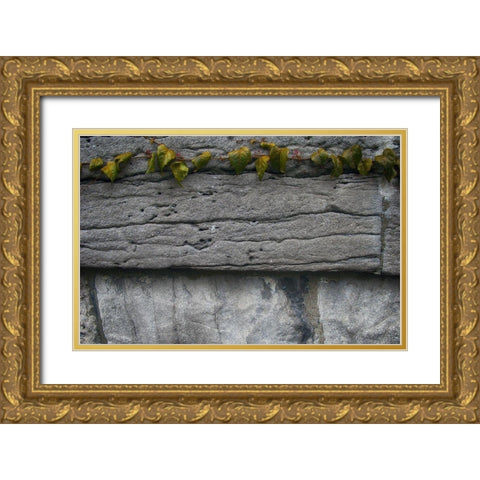Old Montreal Ancient Wall and Ivy 2 Gold Ornate Wood Framed Art Print with Double Matting by Lavoie, Tina