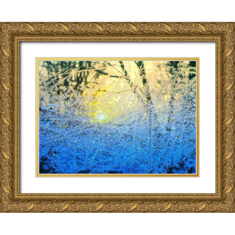 Ice Forest Gold Ornate Wood Framed Art Print with Double Matting by Lavoie, Tina