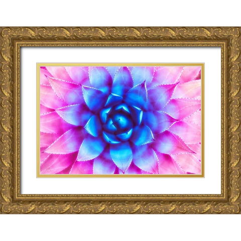 Agave Sunset Gold Ornate Wood Framed Art Print with Double Matting by Lavoie, Tina