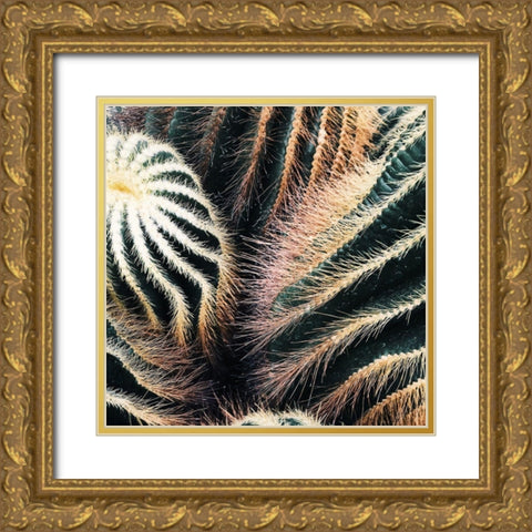 Cactus Gold Ornate Wood Framed Art Print with Double Matting by Lavoie, Tina