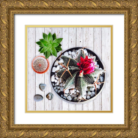 Two Succulents and A Cactus Gold Ornate Wood Framed Art Print with Double Matting by Lavoie, Tina