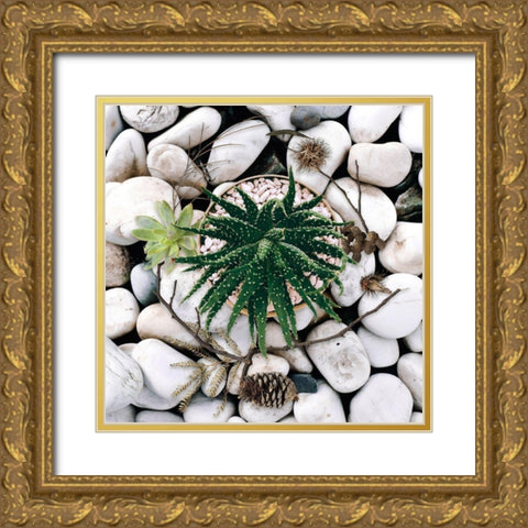 Succulent Summer Gold Ornate Wood Framed Art Print with Double Matting by Lavoie, Tina