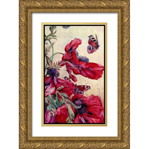 Poppy Nature Study 1917 Gold Ornate Wood Framed Art Print with Double Matting by Lavoie, Tina