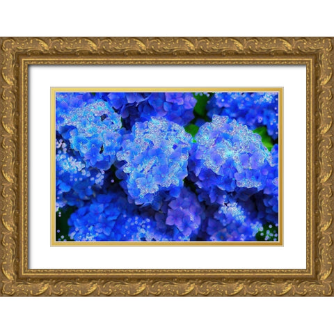Crystal Blue Hydrangeas Gold Ornate Wood Framed Art Print with Double Matting by Lavoie, Tina