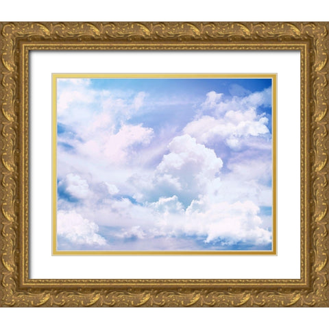 Flying Gold Ornate Wood Framed Art Print with Double Matting by Lavoie, Tina