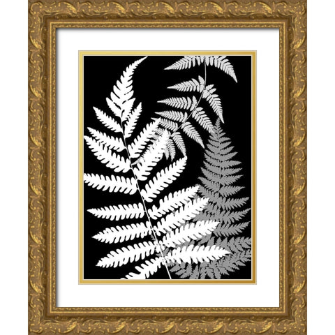 Tropics In Black And White IV Gold Ornate Wood Framed Art Print with Double Matting by Lavoie, Tina