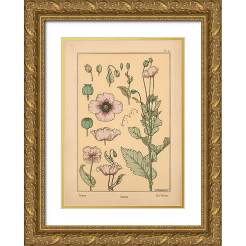 Plate 04 - Poppy Gold Ornate Wood Framed Art Print with Double Matting by Vintage Apple Collection