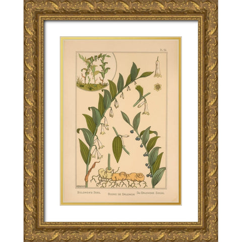 Plate 34 - Solomons Seal Gold Ornate Wood Framed Art Print with Double Matting by Vintage Apple Collection