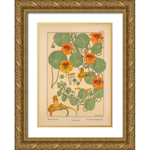 Plate 40 - Nasturtium Gold Ornate Wood Framed Art Print with Double Matting by Vintage Apple Collection
