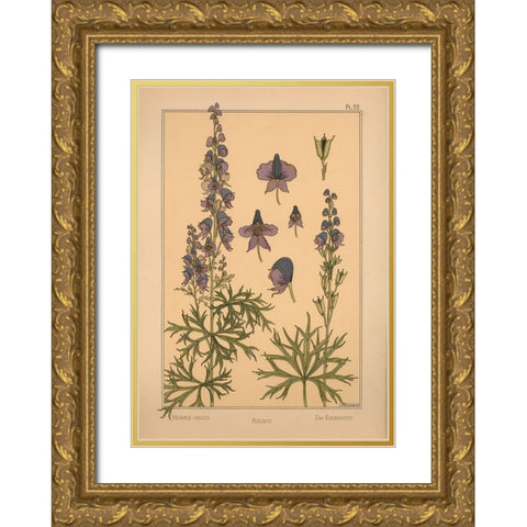 Plate 55 - Monks-hood Gold Ornate Wood Framed Art Print with Double Matting by Vintage Apple Collection