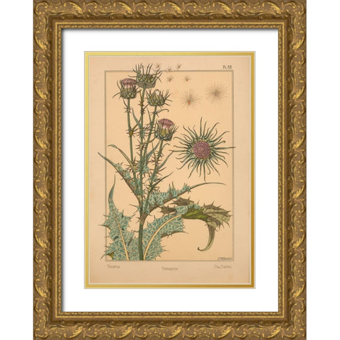 Plate 58 - Thistle Gold Ornate Wood Framed Art Print with Double Matting by Vintage Apple Collection