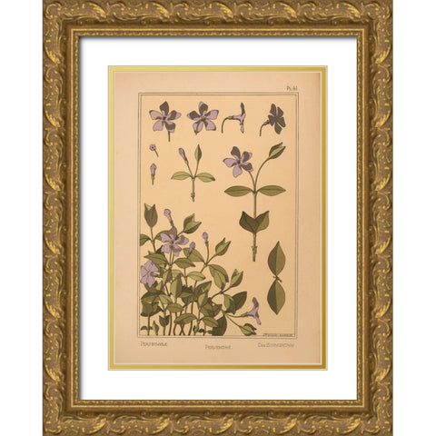 Plate 61 - Periwinkle Gold Ornate Wood Framed Art Print with Double Matting by Vintage Apple Collection