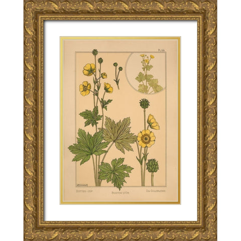 Plate 64 - Butter-cup Gold Ornate Wood Framed Art Print with Double Matting by Vintage Apple Collection