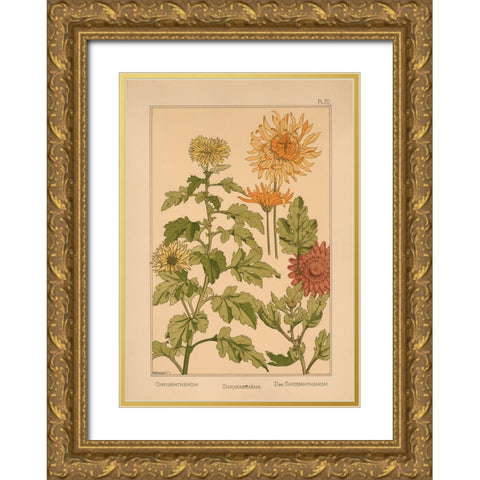 Plate 70 - Chrysanthemum Gold Ornate Wood Framed Art Print with Double Matting by Vintage Apple Collection