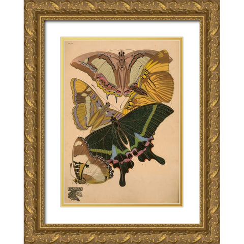 Plate 8 - Papillons Gold Ornate Wood Framed Art Print with Double Matting by Vintage Apple Collection