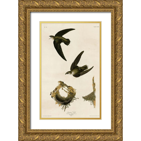 American Swift Gold Ornate Wood Framed Art Print with Double Matting by Vintage Apple Collection