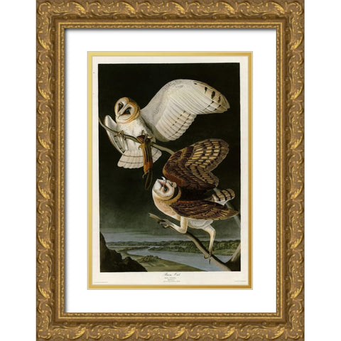 Barn Owl Gold Ornate Wood Framed Art Print with Double Matting by Vintage Apple Collection