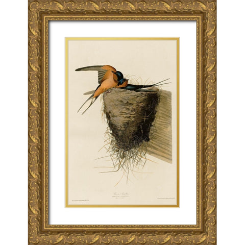 Barn Swallow Gold Ornate Wood Framed Art Print with Double Matting by Vintage Apple Collection