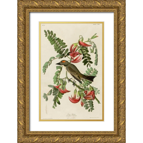 Gray Tyrant Gold Ornate Wood Framed Art Print with Double Matting by Vintage Apple Collection