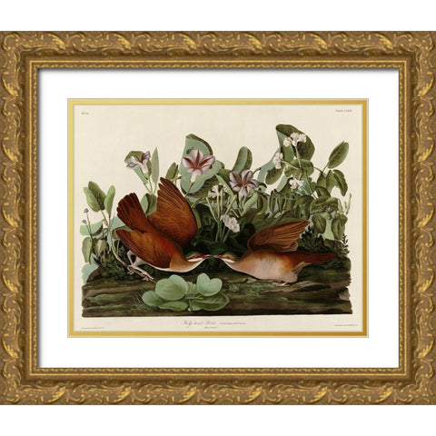 Key West Dove Gold Ornate Wood Framed Art Print with Double Matting by Vintage Apple Collection
