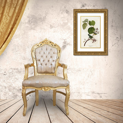 Pine Swamp Warbler Gold Ornate Wood Framed Art Print with Double Matting by Vintage Apple Collection