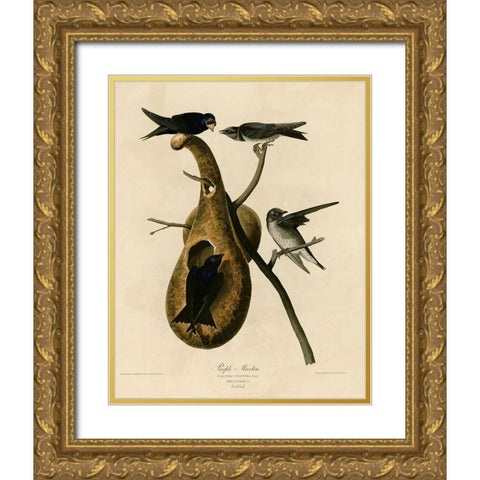 Purple Martin Gold Ornate Wood Framed Art Print with Double Matting by Vintage Apple Collection