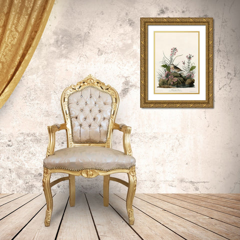 Yellow Winged Sparrow Gold Ornate Wood Framed Art Print with Double Matting by Vintage Apple Collection