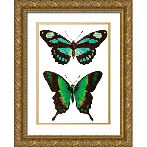 Aqua Butterflies Gold Ornate Wood Framed Art Print with Double Matting by Vintage Apple Collection