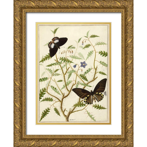 Flowers Twenty Gold Ornate Wood Framed Art Print with Double Matting by Vintage Apple Collection