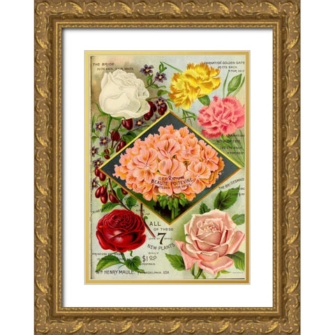 1893 Maules See Geraniums Gold Ornate Wood Framed Art Print with Double Matting by Vintage Apple Collection