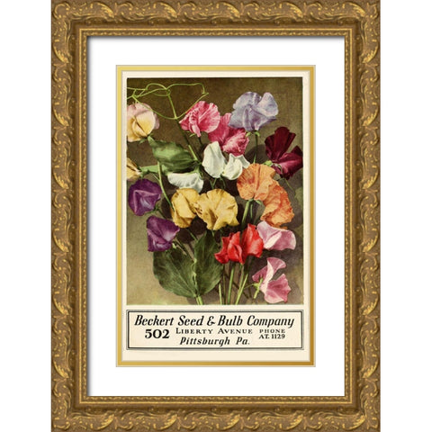 Becket Seed Gold Ornate Wood Framed Art Print with Double Matting by Vintage Apple Collection