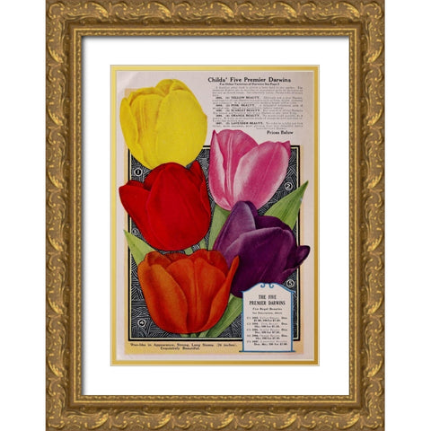 Childs Tulips Gold Ornate Wood Framed Art Print with Double Matting by Vintage Apple Collection