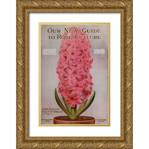 Hycinth Gold Ornate Wood Framed Art Print with Double Matting by Vintage Apple Collection