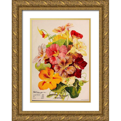 Nasturtium Gold Ornate Wood Framed Art Print with Double Matting by Vintage Apple Collection