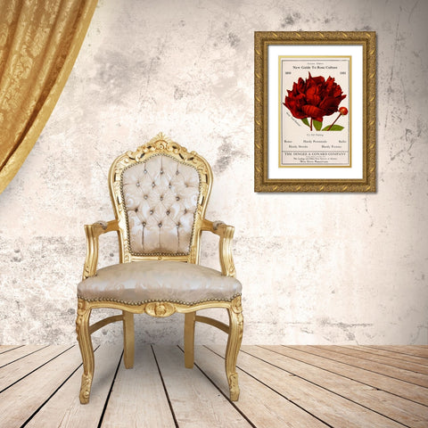 Rose Culture Gold Ornate Wood Framed Art Print with Double Matting by Vintage Apple Collection