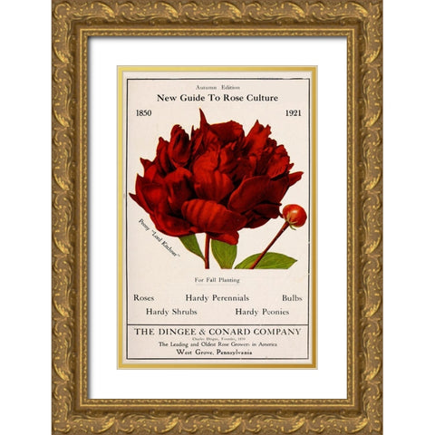 Rose Culture Gold Ornate Wood Framed Art Print with Double Matting by Vintage Apple Collection